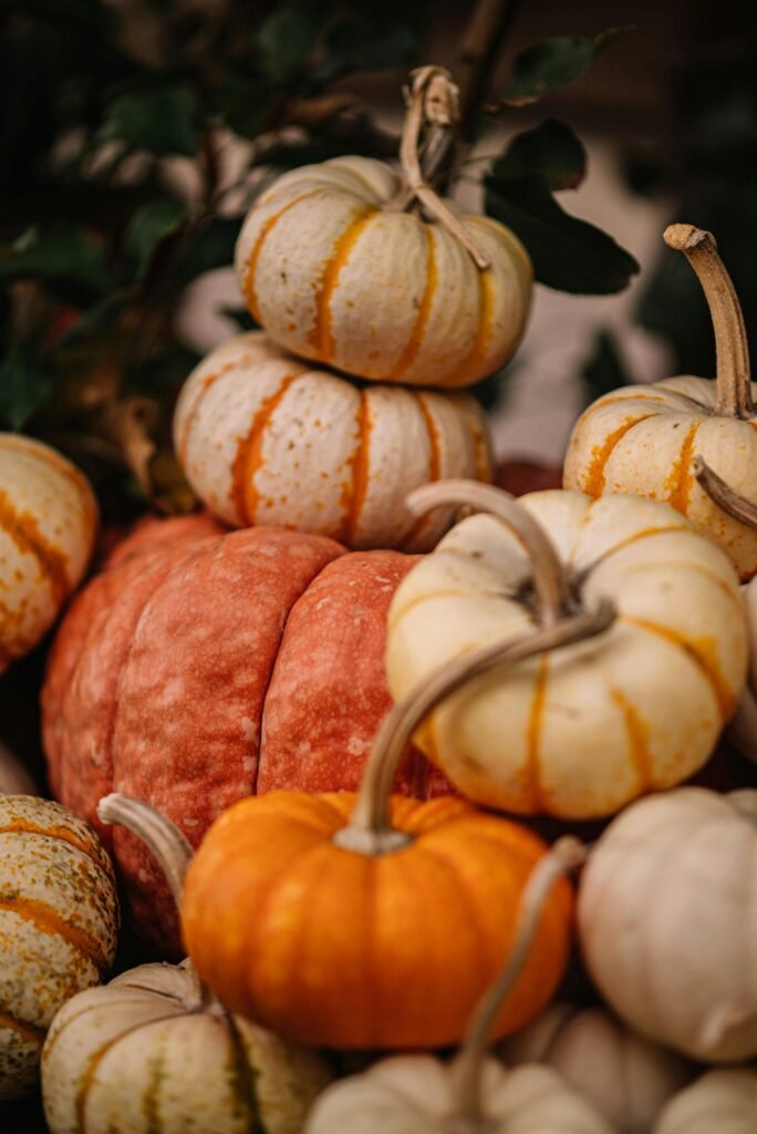 A vibrant collection of various decorative pumpkins perfect for autumn decor and Halloween themes.